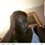 Shea Shay Rock's profile image