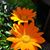 Karen Hansen's profile image