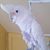 Jill Krapels's profile image