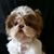 Melissa Spencer's profile image