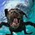Steve Walker's profile image