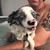 Ron Sawyer's profile image