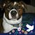 Marianne Perret's profile image