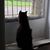Kathy Stevenson Thurman's profile image