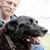 Steve Whitley's profile image