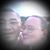 Marsha L Schissler's profile image