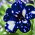 Rhonda Mateer's profile image
