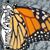 Lori Haagen's profile image
