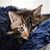 Jennifer Winkler's profile image