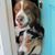 Karyn Welsh's profile image