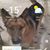 Jackie Fife's profile image