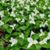 Carol Waterbury Burgess's profile image