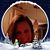 Tracey Weigel Polito's profile image