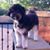 Molly Simpson's profile image