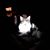 Brad Gillis's profile image