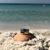 Nicole Schierer's profile image