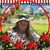 Debra Wallace's profile image