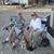 Gail Askins's profile image