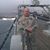 Joshua Mark Richardson's profile image