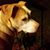 Marianna Williams Broussard's profile image