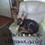 Linda Perrine's profile image
