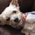 Patti Kennedy's profile image