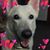 Debbie Kahley Zywotek's profile image