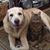 Cheri White-Northrup's profile image