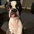 Brent Darnell's profile image