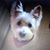 Teri Beckman Loveless's profile image