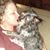 Holly Tompkins-Grenier's profile image