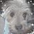 Laurie Nelson's profile image