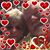 Teena McCormick's profile image
