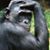 Bruce Adcock's profile image