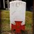 William Coe II's profile image