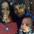 Terri Johnson's profile image