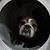 John Haas's profile image