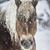 Lena Traylor's profile image
