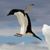 Scott Miller's profile image