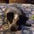 Judy Nyberg's profile image