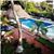 Jardin Real's profile image