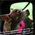 Donna Bisceglia's profile image