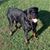 Kirk Kuster's profile image