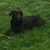 George Winfield's profile image