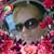 Irret Nnyl Revuaf's profile image