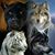 Marilyn Velazquez's profile image
