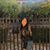 Katie Eunji Seo's profile image