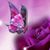 Renee Mouton's profile image