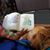 Cathy Soesbe Glidewell's profile image