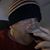 Alvaro Ramirez's profile image